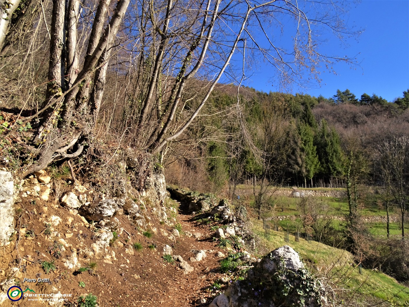 08 Sent. 594 per Pizzo di Spino-Linea tagliafuoco.JPG